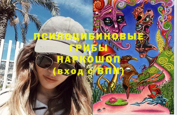 соль ск Бородино