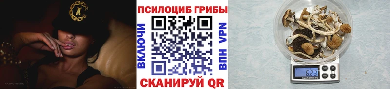 мориарти официальный сайт  Электрогорск  Псилоцибиновые грибы прущие грибы 